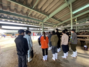 競り1